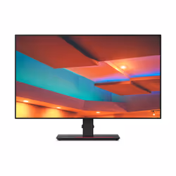 Lenovo ThinkVision P27h-20 écran plat de PC 27" Quad HD LED Noir