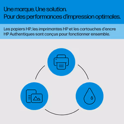 HP Cartouche d’encre Ink Advantage noire HP653 authentique