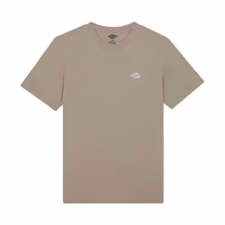 Dickies modèle Summerdale Ss Tee Marron