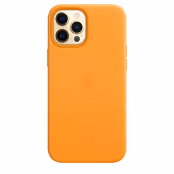 Apple MHKH3ZM/A 6.7" Housse Orange