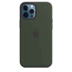 Apple MHLC3ZM/A, Housse, Apple, iPhone 12 Pro Max, 17 cm (6.7"), Vert