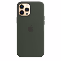 Apple MHLC3ZM/A 6.7" Housse Vert