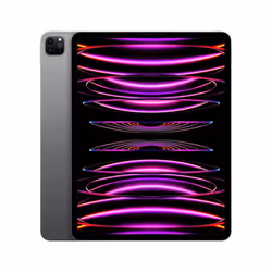 Apple iPad Pro 128Go 12.9" Apple M 8Go Gris