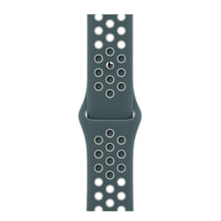 Apple MJ6G3ZM/A accessoire intelligent à porter sur soi Bande Vert, Argent Fluoroélastomère
