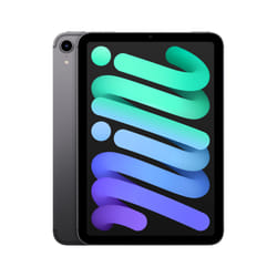 Apple iPad mini 5G 64Go 8.3" Gris
