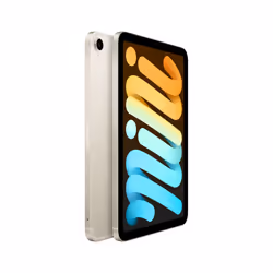 Apple iPad mini 5G 64Go 8.3" 4Go Beige