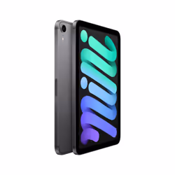 Apple iPad mini 5G 256Go 8.3" Gris
