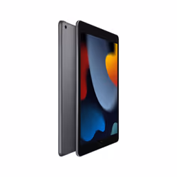 Apple iPad 256Go 10.2" Gris