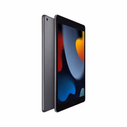 Apple iPad , 10.2" LED, A13 Bionic, 256GB, Touch ID, 8MP + 12MP, iPadOS