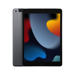 Apple iPad 4G LTE 64Go 10.2" 3Go Gris