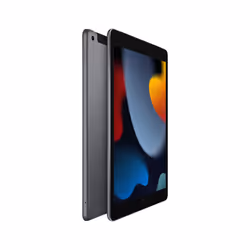 Apple iPad 4G LTE 64Go 10.2" 3Go Gris