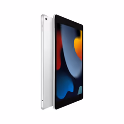 Apple iPad 4G LTE 256Go 10.2" 3Go Argent