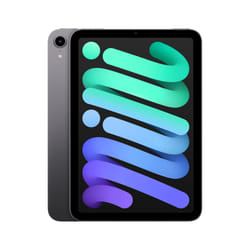 Apple iPad mini 64Go 8.3" Gris