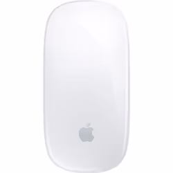 Apple Magic Mouse souris Ambidextre Bluetooth