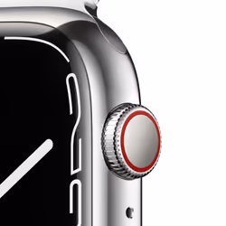 Apple Watch Series 7 OLED 45mm 4G Argent Wifi GPS (satellite)