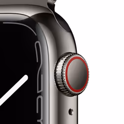 Apple Watch Series 7 OLED 45mm 4G Graphite Wifi GPS (satellite)