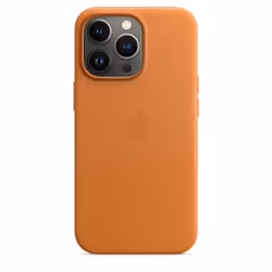 Apple MM193ZM/A, Housse, Apple, iPhone 13 Pro, 15,5 cm (6.1"), Marron, Or