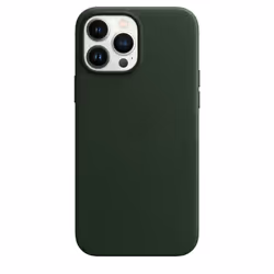 Apple MM1Q3ZM/A 6.7" Housse Vert