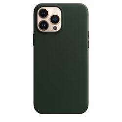 Apple MM1Q3ZM/A 6.7" Housse Vert