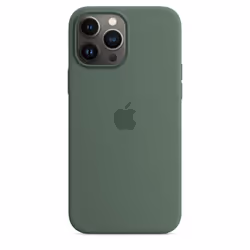 Apple Coque en silicone avec MagSafe pour iPhone 13 Pro Max - Eucalyptus, Housse, Apple, iPhone 13 Pro Max, 17 cm (6.7"), Ver ...
