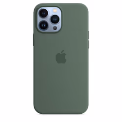 Apple Coque en silicone avec MagSafe pour iPhone 13 Pro Max - Eucalyptus