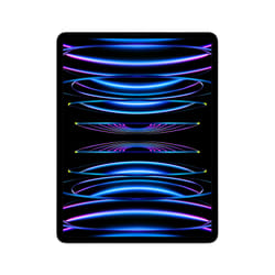 Apple iPad Pro 256Go 12.9" Apple M 8Go Argent