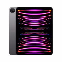 Apple iPad Pro 512Go 12.9" Apple M 8Go Gris