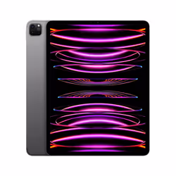 Apple iPad Pro 5G 128Go 12.9" Apple M 8Go Gris
