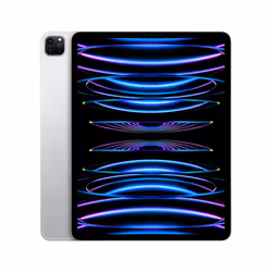 Apple iPad Pro 5G 1To 12.9" Apple M 16Go Argent