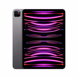 Apple iPad Pro 128Go 11" Apple M 8Go Gris