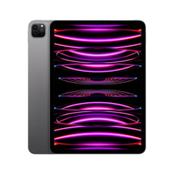 Apple iPad Pro 128Go 11" Apple M 8Go Gris