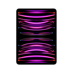 Apple iPad Pro 512Go 11" Apple M 8Go Gris