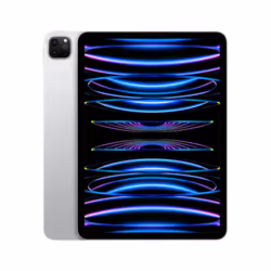 Apple iPad Pro 2 To 11" Apple M 16Go Argent