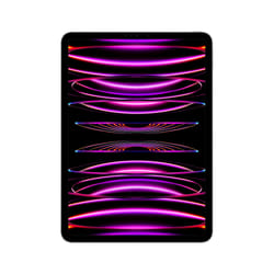 Apple iPad Pro 5G LTE 2 To 11" Apple M 16Go Gris