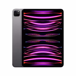 Apple iPad Pro 5G LTE 2 To 11" Apple M 16Go Gris