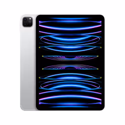 Apple iPad Pro 5G LTE 2 To 11" Apple M 16Go Argent