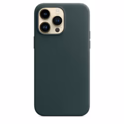 Apple MPPN3ZM/A 6.7" Housse Vert