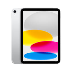 Apple iPad 5G 64Go 10.9" Argent