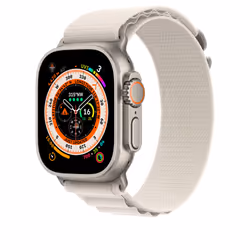 Apple MQE53ZM/A Bande Beige Polyester