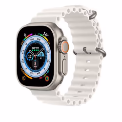 Apple MQE93ZM/A pièce et accessoire de montre Bracelet de montre
