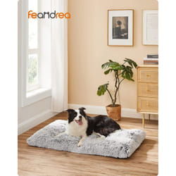 FEANDREA Panier pour Chien, Canapé, Lit pour Animaux, 110 x 73 cm, Rembourrage Moelleux, Lavable en Machine, Coussin pour Chien, Gris Clair PGW203G01