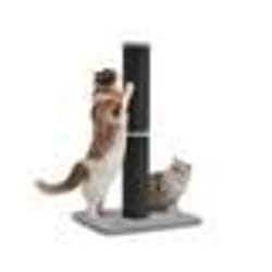 Griffoir pour Chat 85 cm de Haut Moyens et Larges Chats Pompom à Ressort avec Clochette Noir dencre