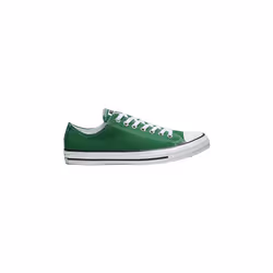 Converse modèle Chuck Taylor Ox Amazon Vert