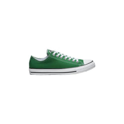Converse modèle Chuck Taylor Ox Amazon Vert