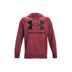 Sweatshirt ? capuche Under Armour Rival Fleece Big Logo
