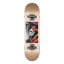 Skateboard Complet - GLOBE - Mt Warning 7.6 - Beige - Mixte - Adulte