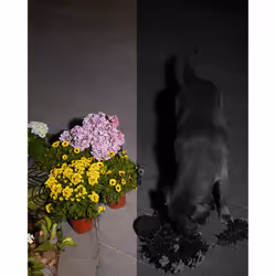 Eufy Solocam S40 Boîte Caméra de sécurité IP Intérieure et extérieure 2048 x 1080 pixels Mur - Vue supplémentaire 10