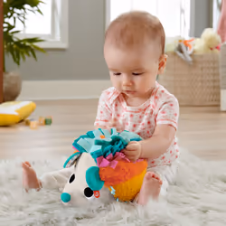 Fisher-Price Mon Petit Hérisson Sensoriel, Animaux en peluche, 0,25 an(s)