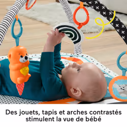 Fisher-Price Mon Tapis Sensoriel 3-En-1 - Vue supplémentaire 9