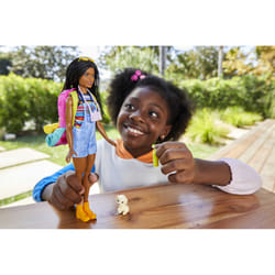 Barbie Dreamhouse Adventures It Takes Two Coffret Vive Le Camping
